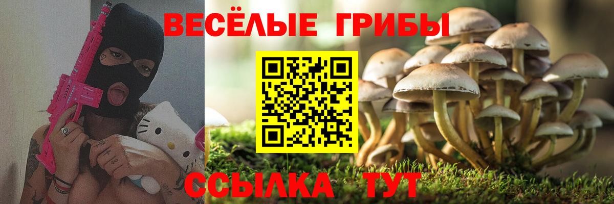 Псилоцибиновые грибы Psilocybine cubensis Волжский